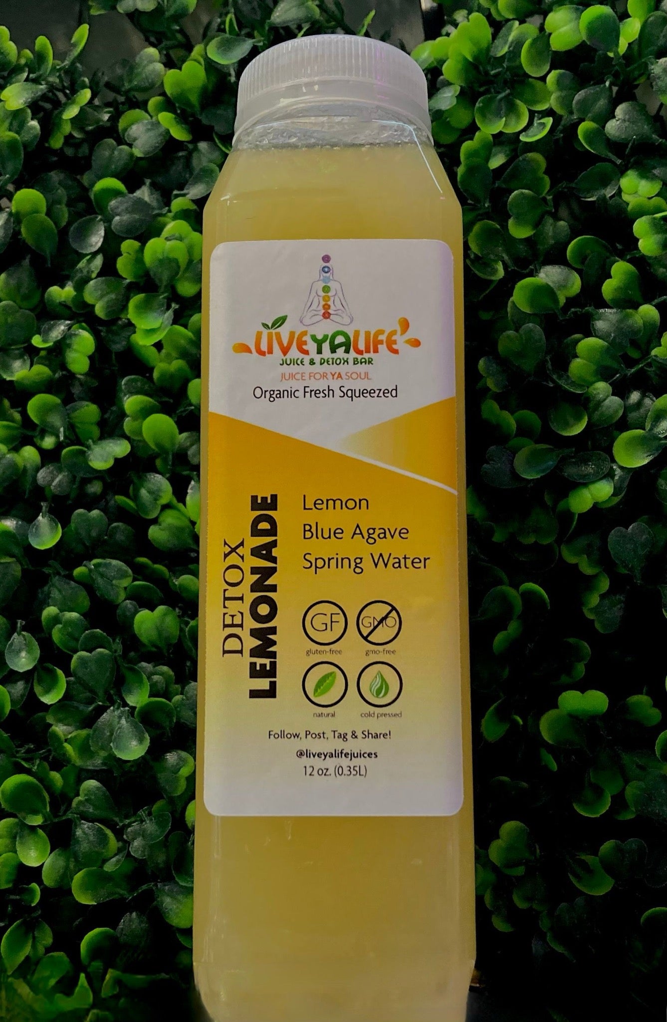 Detox Lemonade 12oz - 1