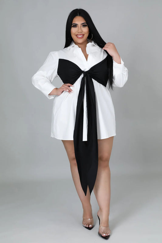 Karenna Shirt Dress