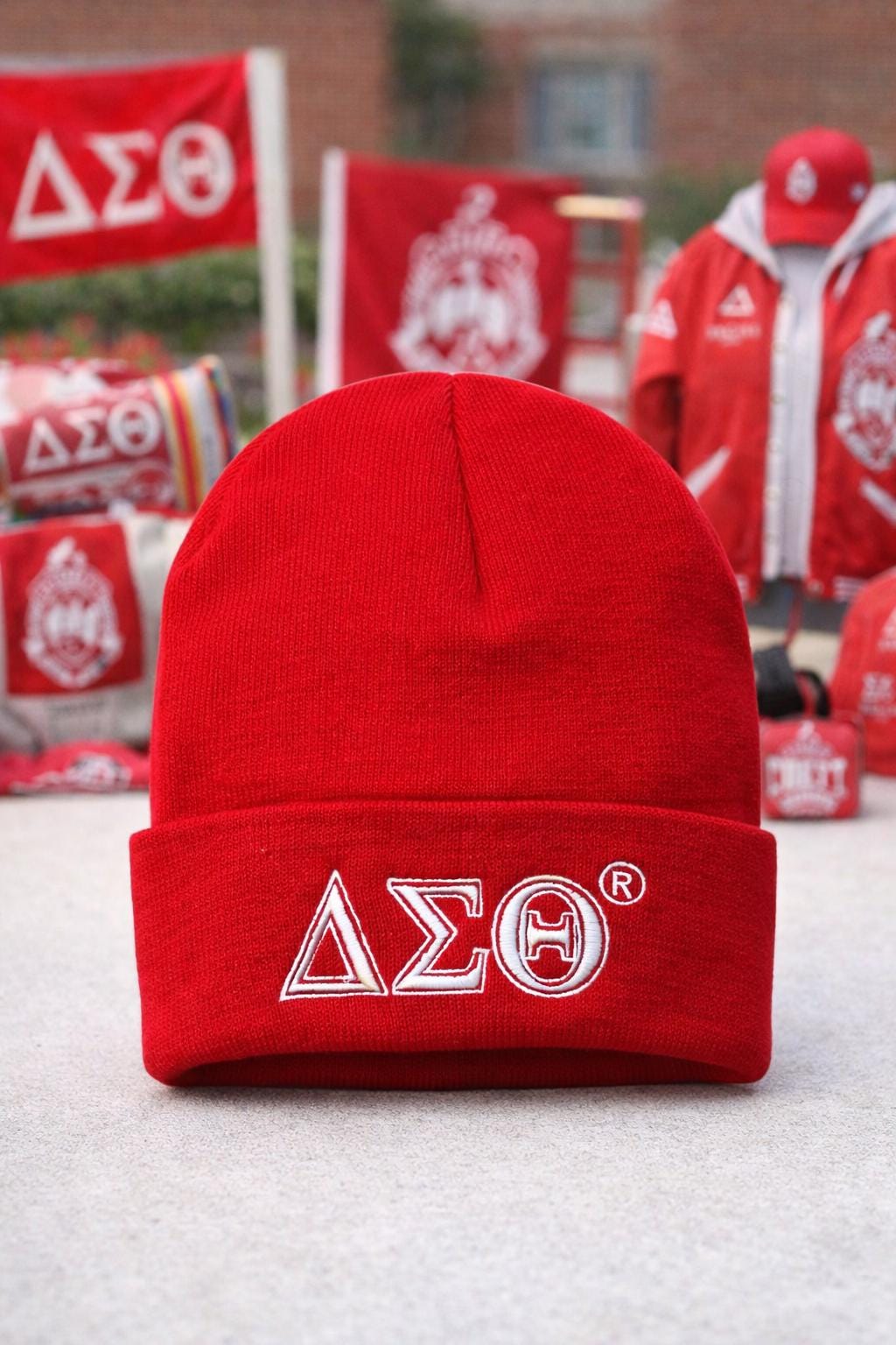 Delta Sigma Theta Embroidered Beanie Hat