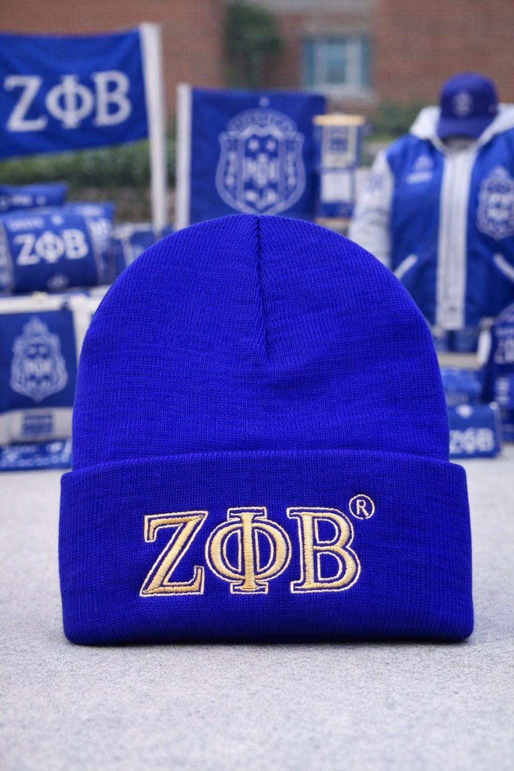 Zeta Phi Beta Embroidered Beanie