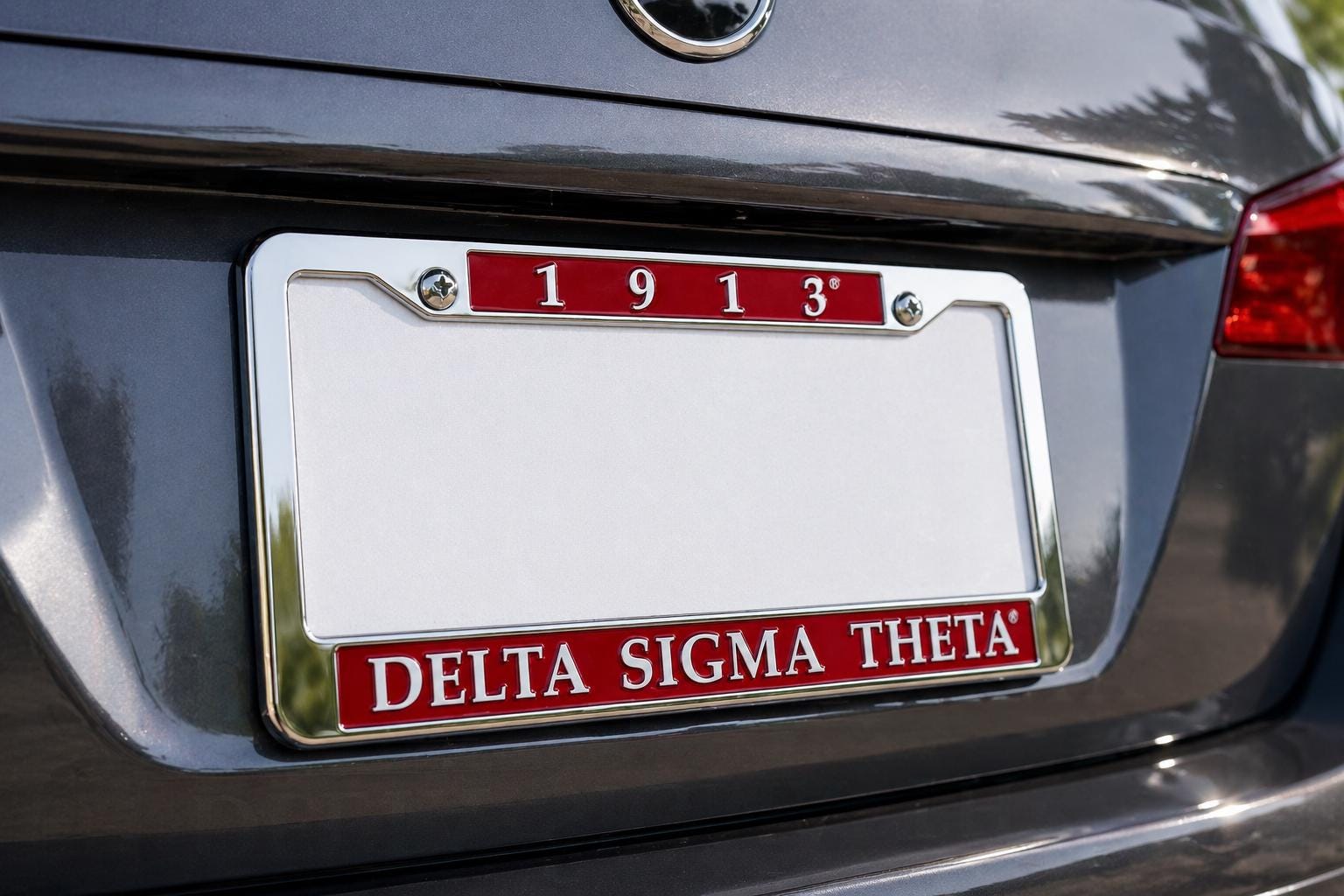 Delta Sigma Theta Mother’s Day Gift Bundle
