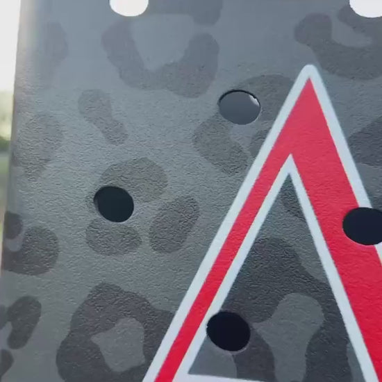 Large Delta Sigma Theta EVA Beach Bag