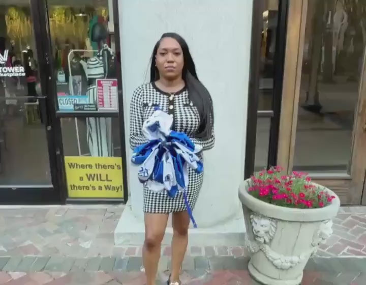 Zeta Phi Beta Umbrella 1920 | Blue White Sorority Umbrella | Greek Paraphernalia | ZPB Gift | Rain Umbrella | Line Sister Gift